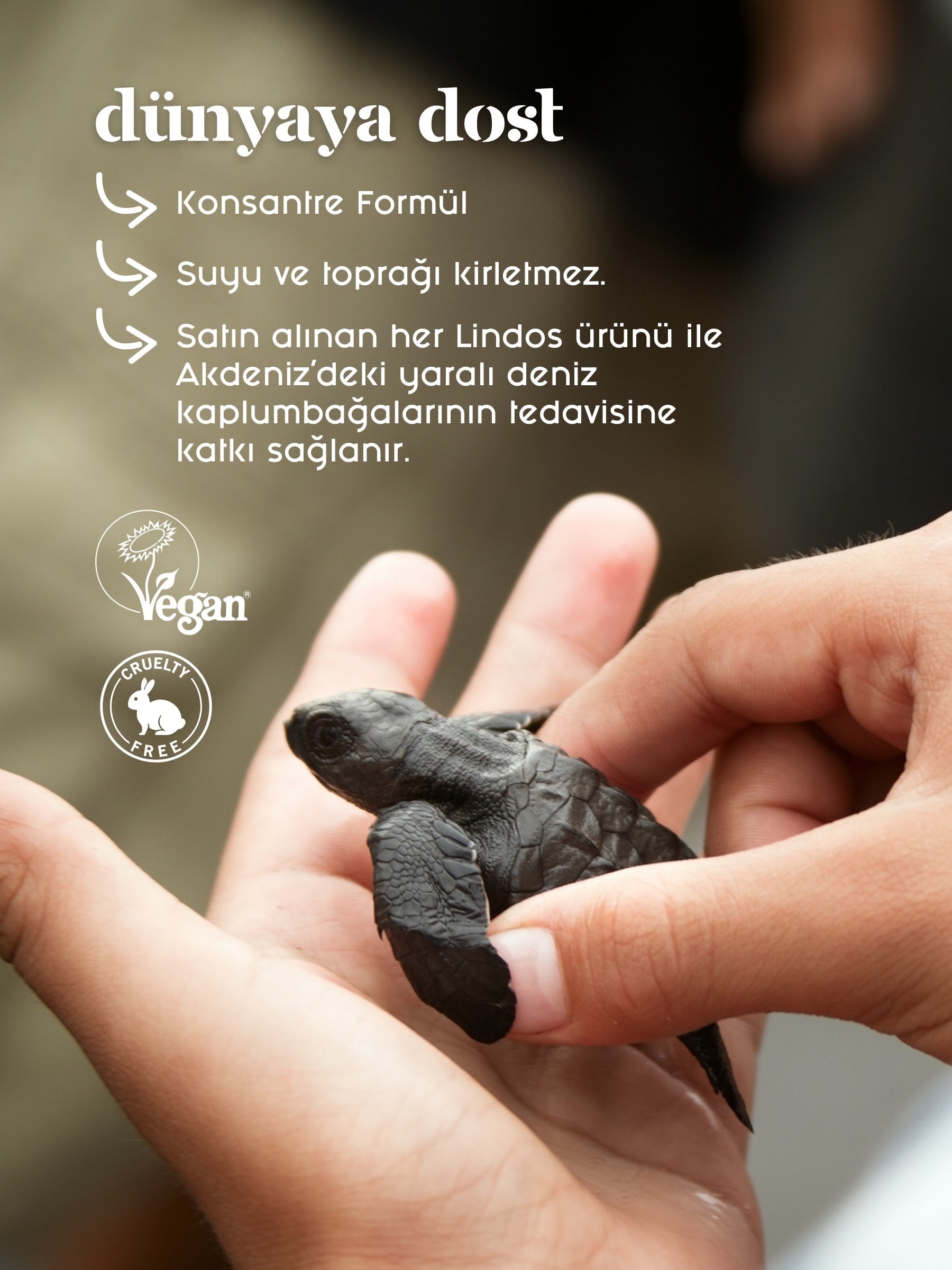 Yakınlaş
