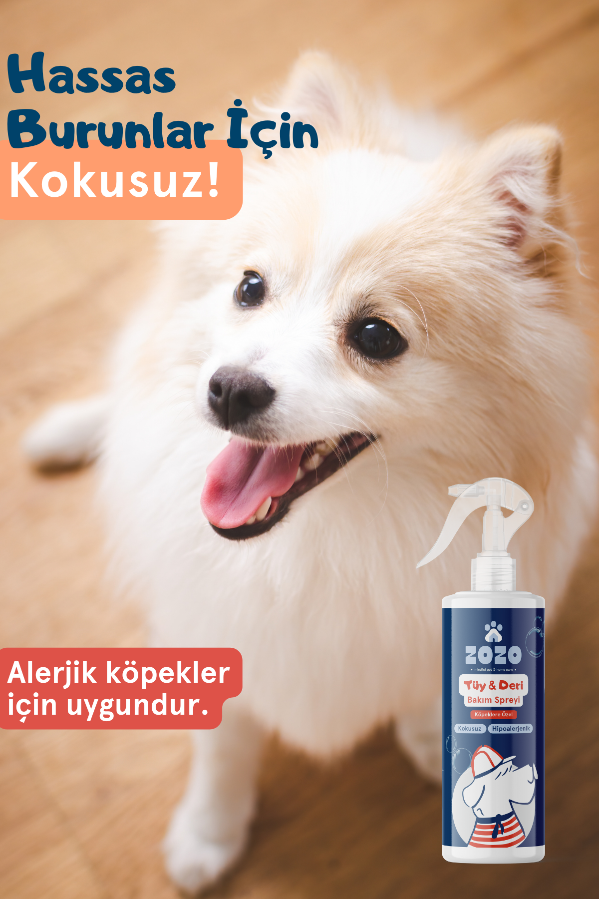 Yakınlaş