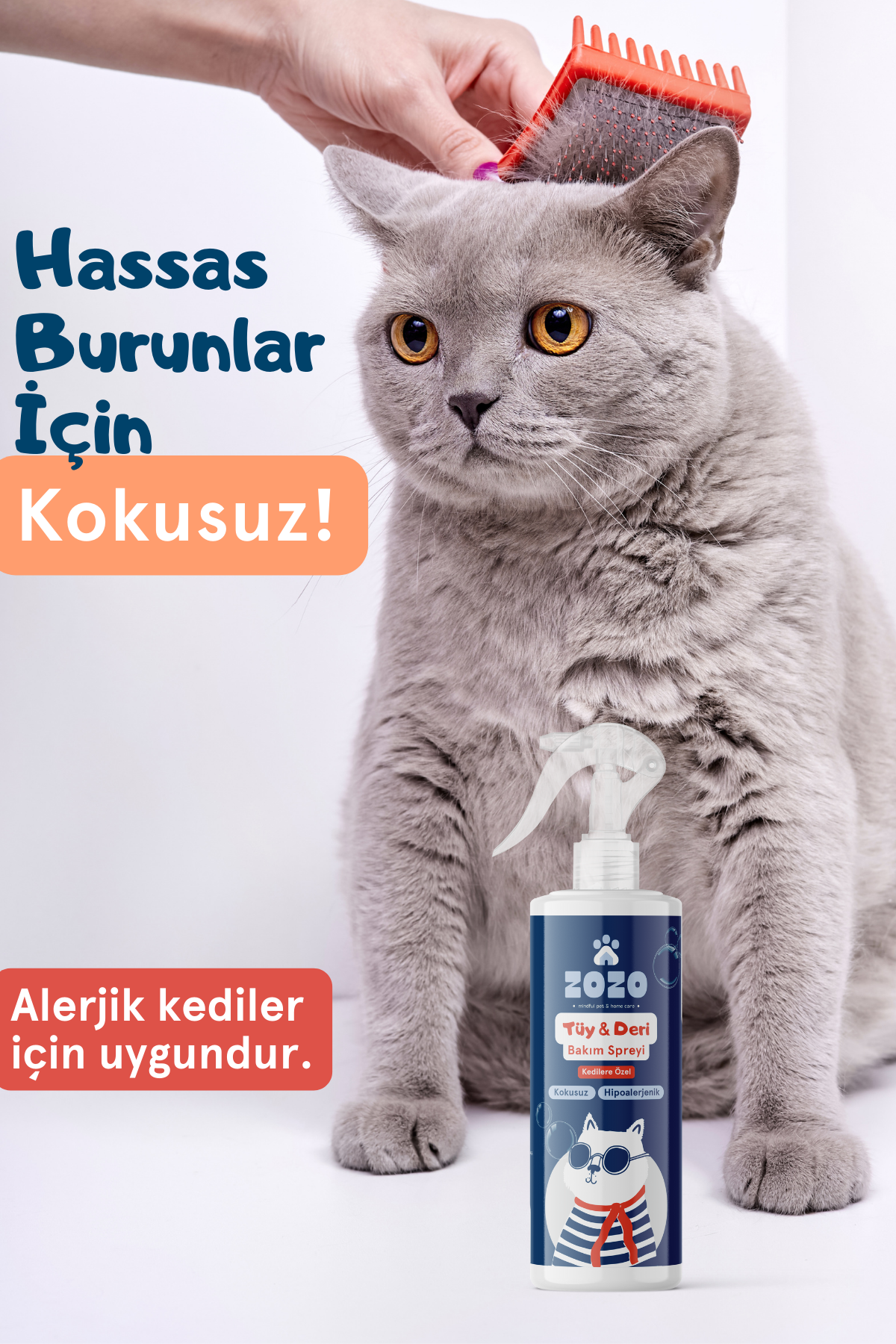 Yakınlaş