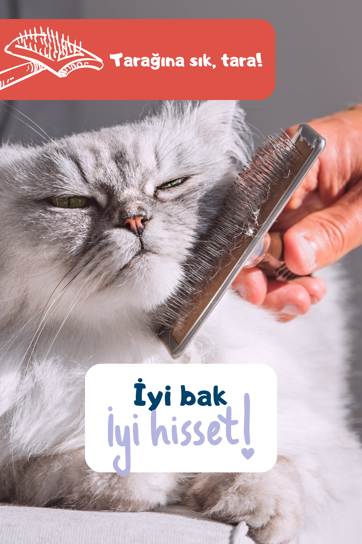 Yakınlaş