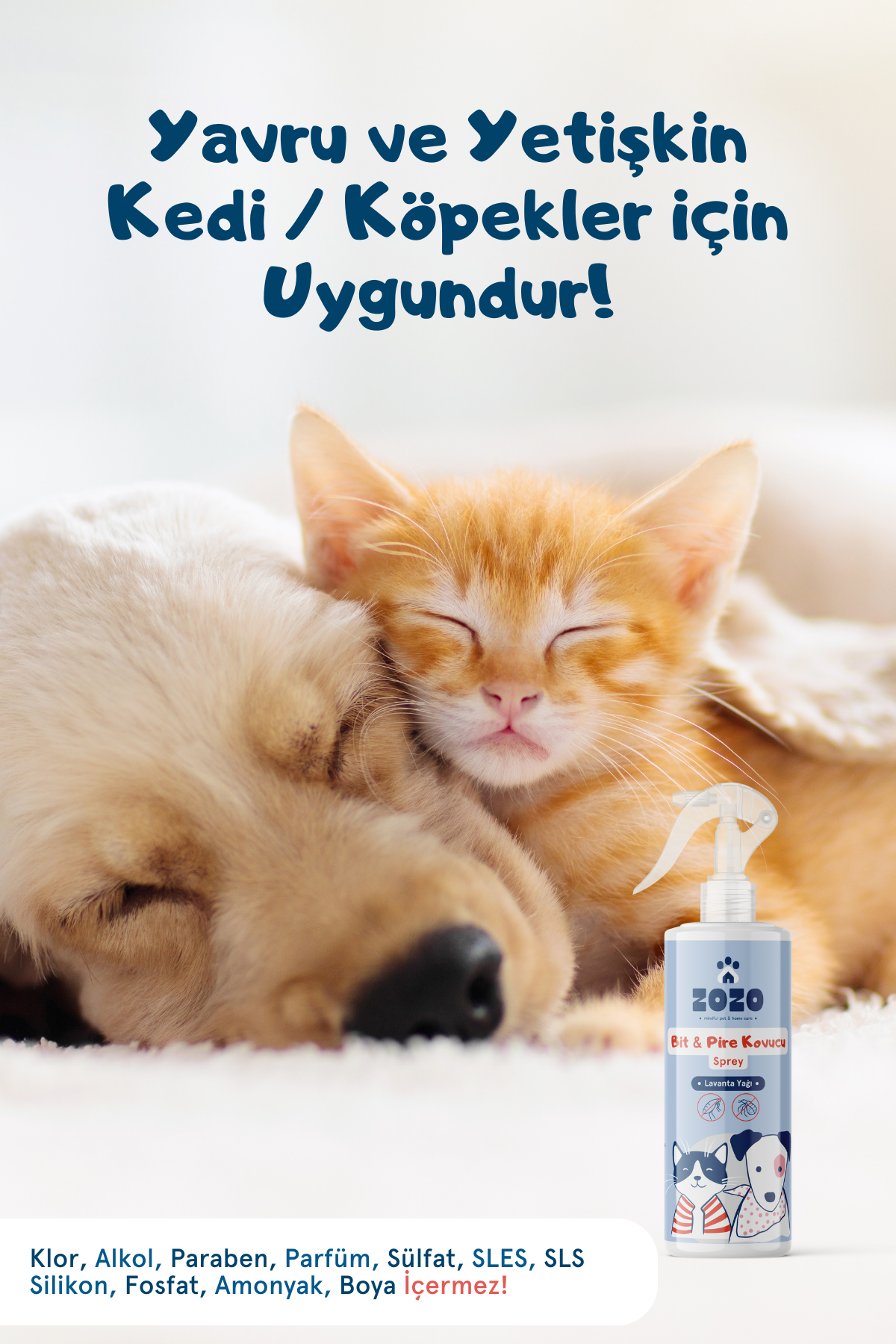 Yakınlaş