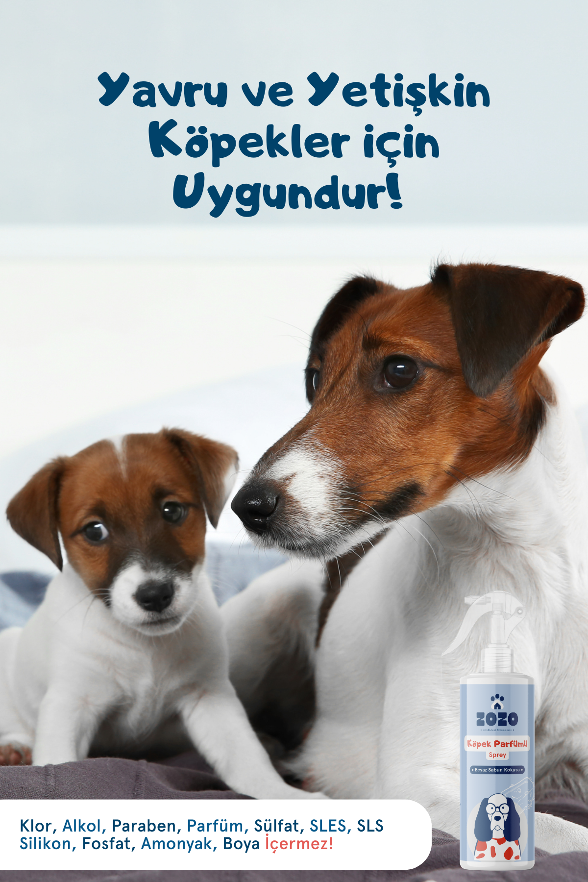 Yakınlaş