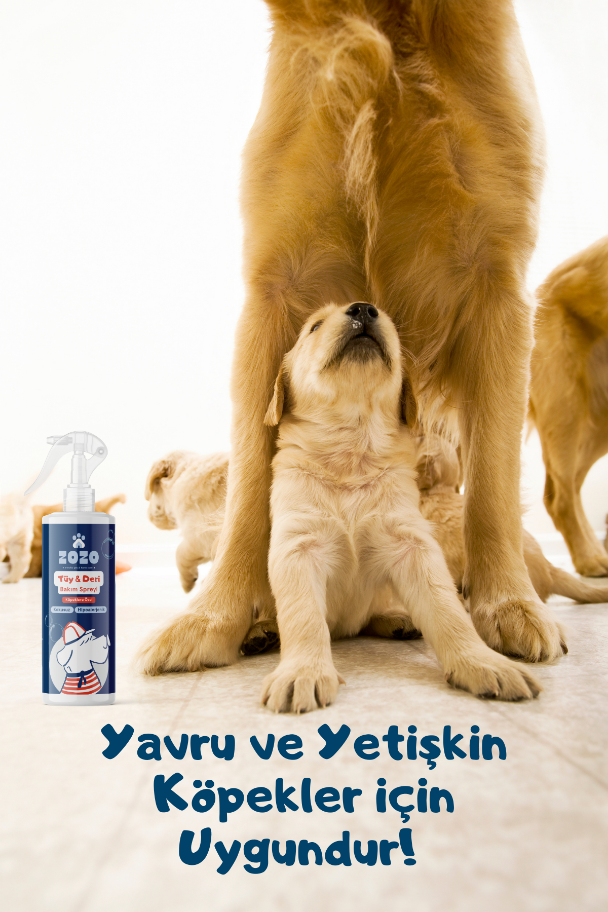 Yakınlaş