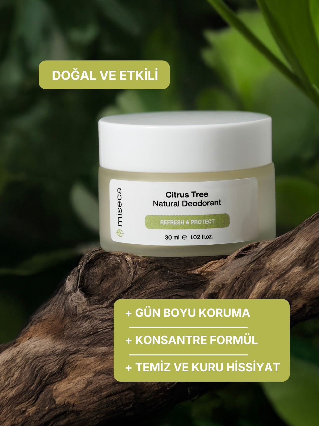 Yakınlaş