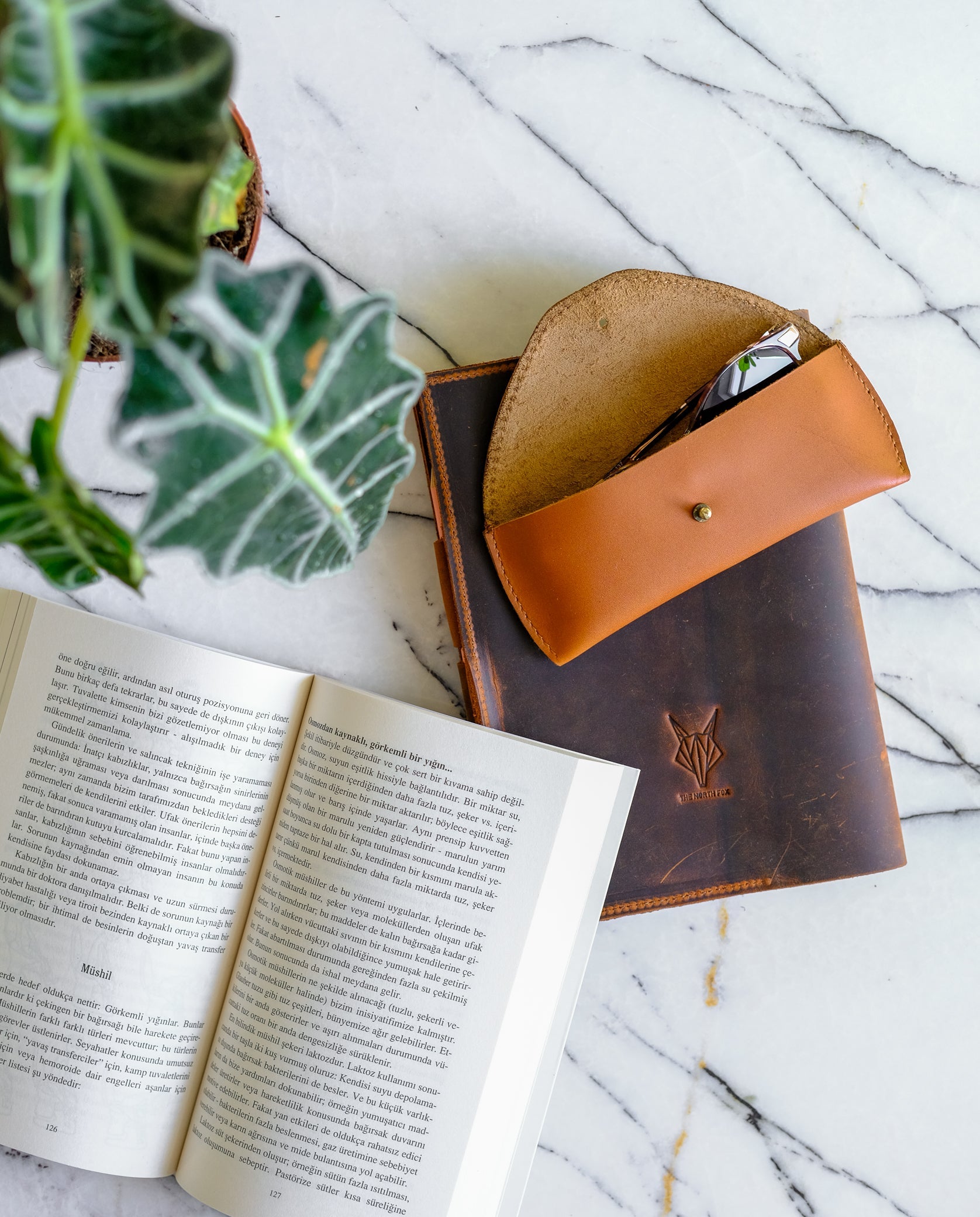 Yakınlaş
