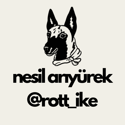 Yakınlaş