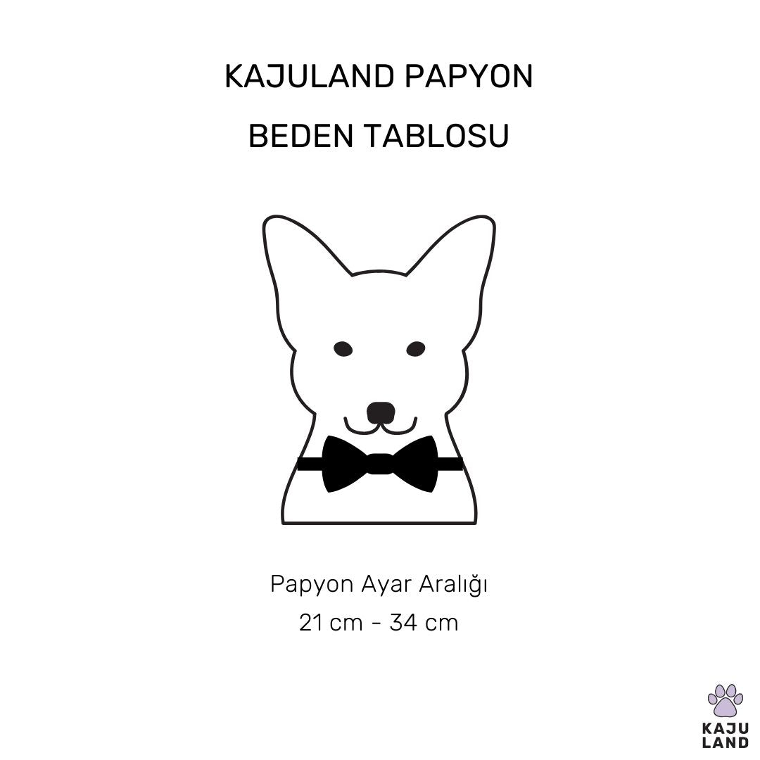 Yakınlaş